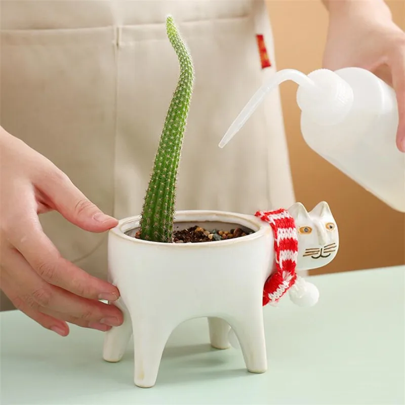 Цветочные горшки, керамический горшок, белая ваза бонсай, настольный садовый декор
Цветочные горшки, керамический горшок, белая ваза бонсай, настольный садовый декор