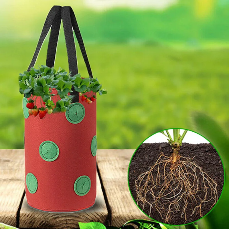 12 Hole 3 Gallon Non-woven Plant Hanging Bag Multi-port Strawberry Bag Hanging Strawberry Planting Bag Flower Herb Bags Hot
12 Hole 3 Gallon Non-woven Plant Hanging Bag Multi-port Strawberry Bag Hanging Strawberry Planting Bag Flower Herb Bags Hot