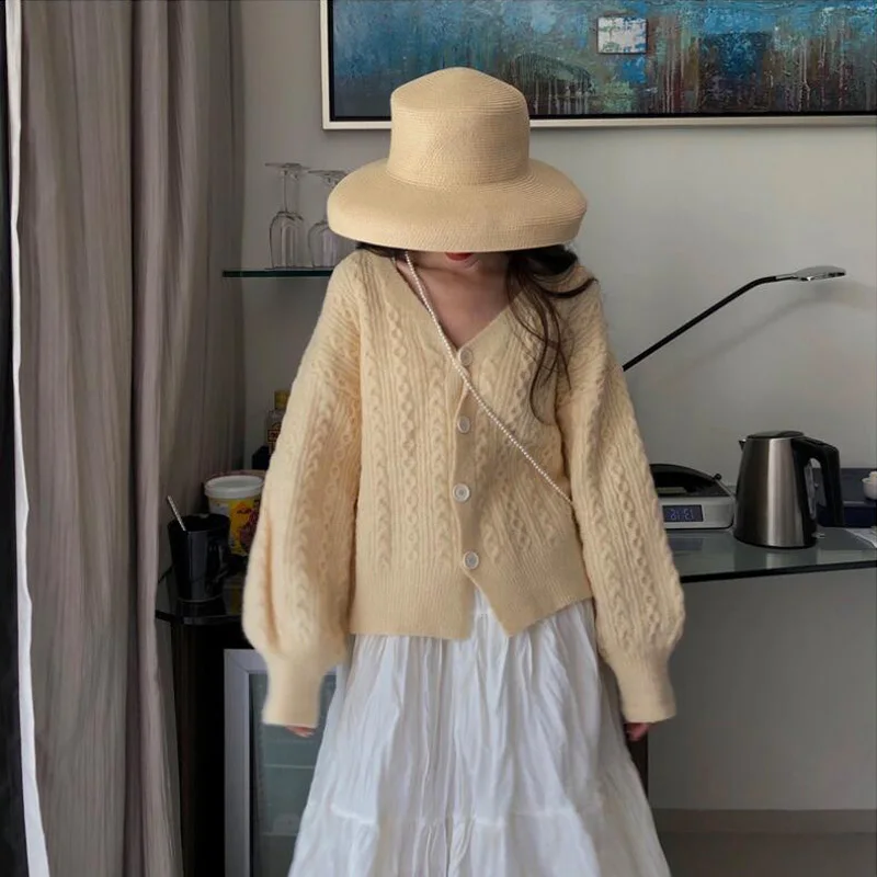 Autumn and winter women's sweater casual solid color V-neck long-sleeved cardigan sweater
Autumn and winter women's sweater casual solid color V-neck long-sleeved cardigan sweater