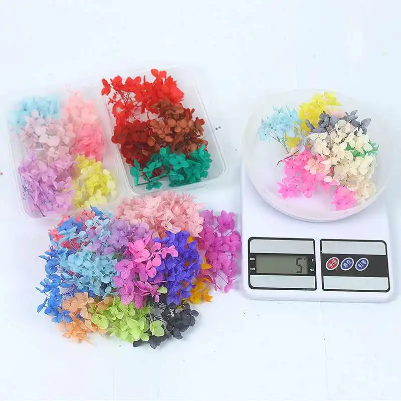 Preserved Flower DIY Dried Flower Material Aromatherapy Floating Flower Parent-Child Handmade Material
Preserved Flower DIY Dried Flower Material Aromatherapy Floating Flower Parent-Child Handmade Material