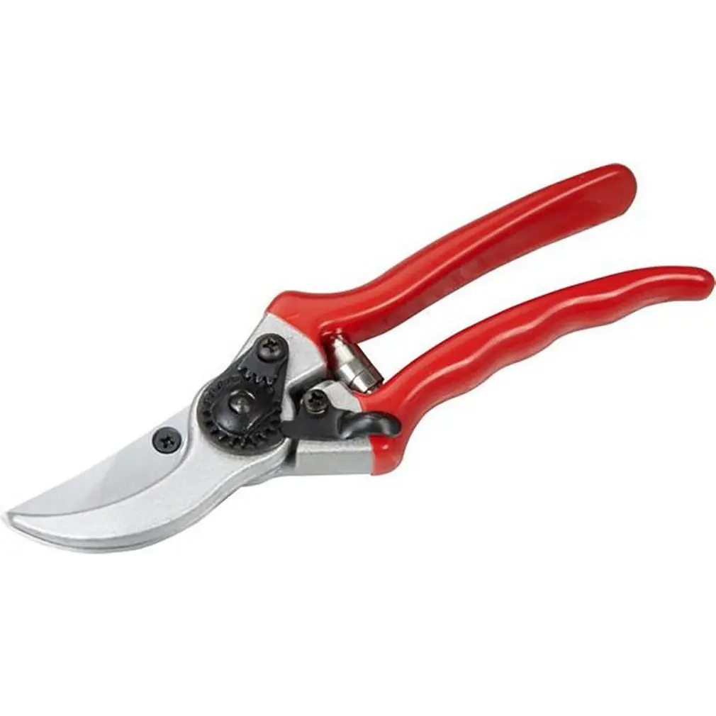 Red Handle Gardening Cutting Braches Fruit Tress Farm Garden Scissors Cutter Picking Fruit Flowers Farming
Red Handle Gardening Cutting Braches Fruit Tress Farm Garden Scissors Cutter Picking Fruit Flowers Farming