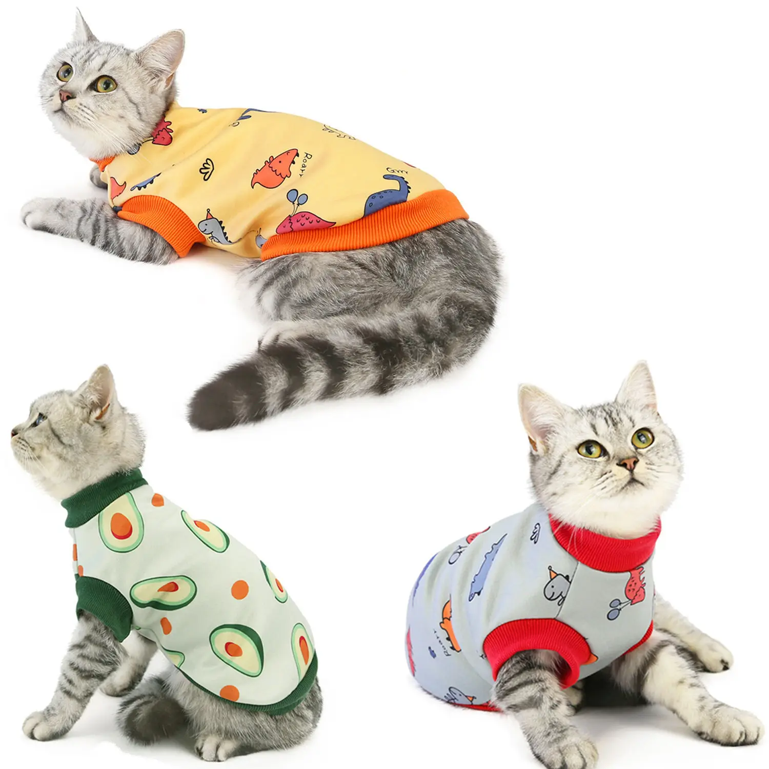 Cat clothes autumn and winter clothes new pet kitten clothes pet clothes winter 20 cat milk silk sweater cute warm high quality
Cat clothes autumn and winter clothes new pet kitten clothes pet clothes winter 20 cat milk silk sweater cute warm high quality