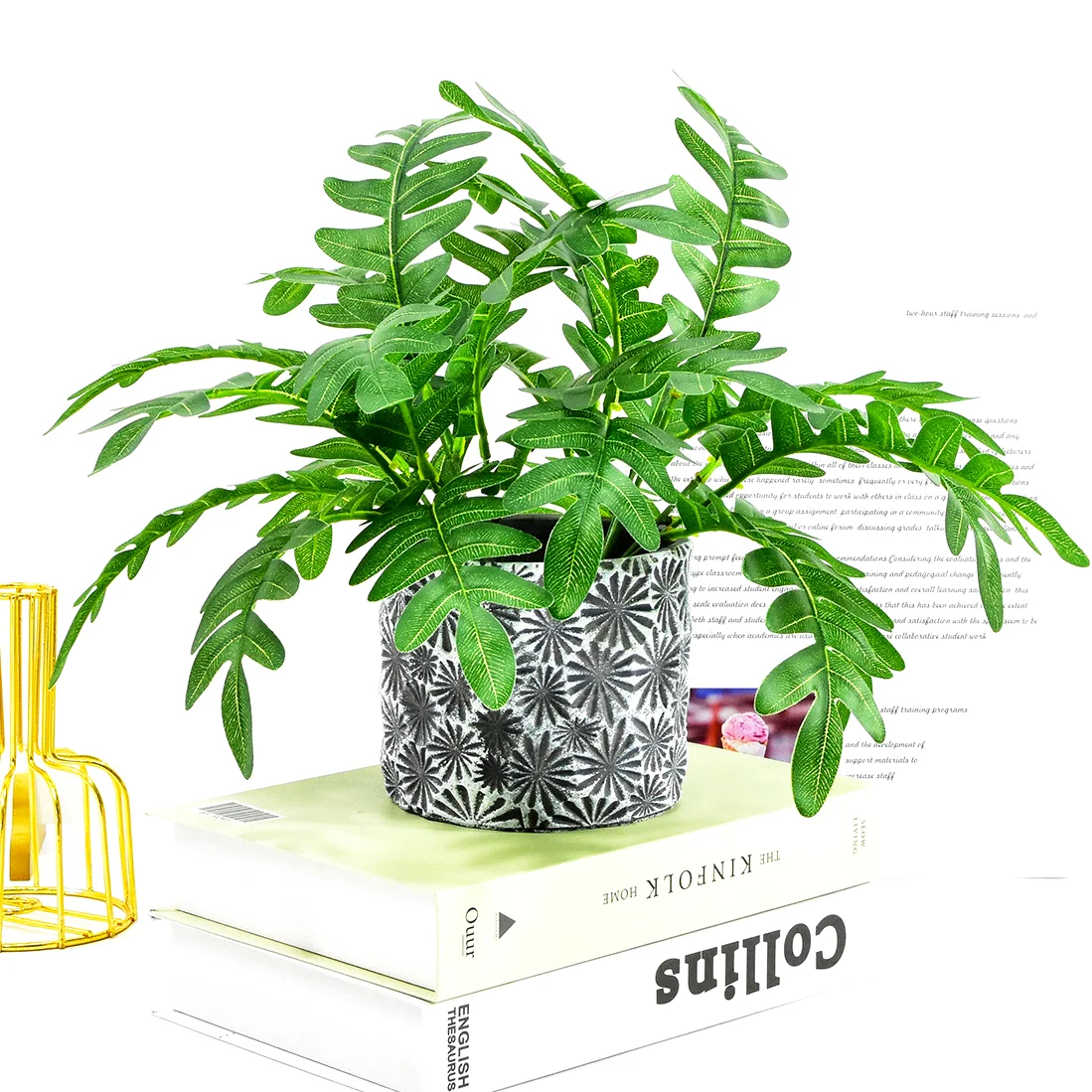 Artificial Green Plants, Single Bunch, 28 Cm, 6 Forks and 12 Leaves Spring Rain Leaves,Garden Landscaping,Home Bonsai Decoration
Artificial Green Plants, Single Bunch, 28 Cm, 6 Forks and 12 Leaves Spring Rain Leaves,Garden Landscaping,Home Bonsai Decoration