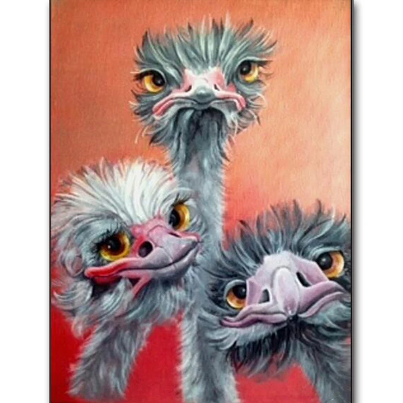 5D алмазная живопись «страусиное животное», вышивка стразами своими руками, полная вышивка квадратными/круглыми стразами, мозаика для домаш...
5D алмазная живопись «страусиное животное», вышивка стразами своими руками, полная вышивка квадратными/круглыми стразами, мозаика для домаш...