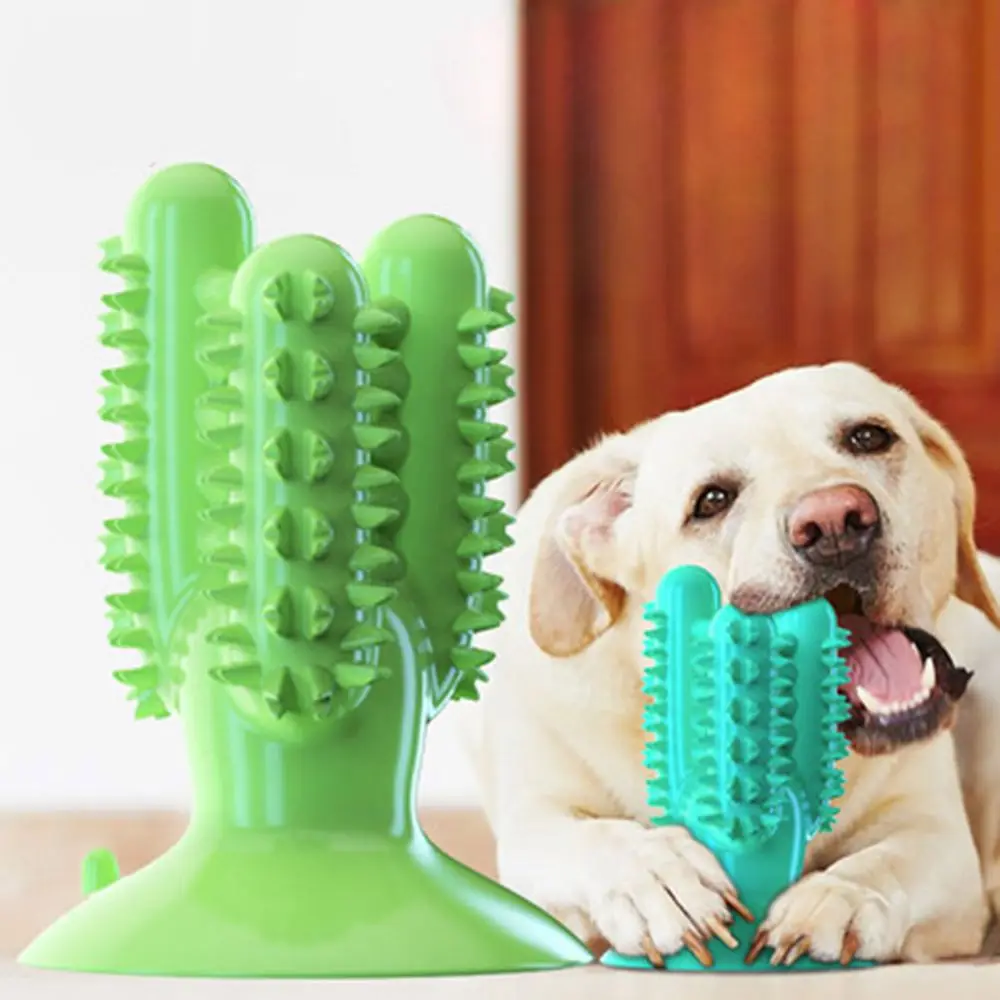 Pet Dog natural rubber cactus Toys Chew Dental Cleaning Massage Tooth Cleaning Dog Toothbrush for Puppy large Dog Biting Toy
Pet Dog natural rubber cactus Toys Chew Dental Cleaning Massage Tooth Cleaning Dog Toothbrush for Puppy large Dog Biting Toy