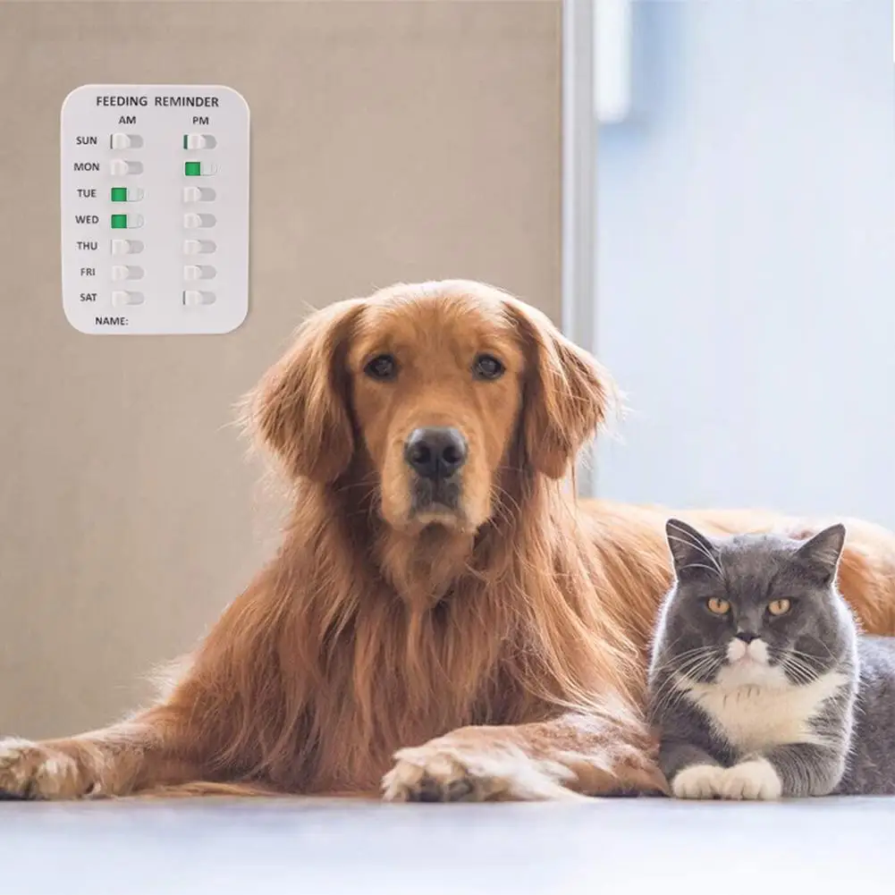 Pet Feeding Record Card For Children And Elderly Matters Record Card 3 Times A Day To Remind Cats And Dogs Reminder Card
Pet Feeding Record Card For Children And Elderly Matters Record Card 3 Times A Day To Remind Cats And Dogs Reminder Card