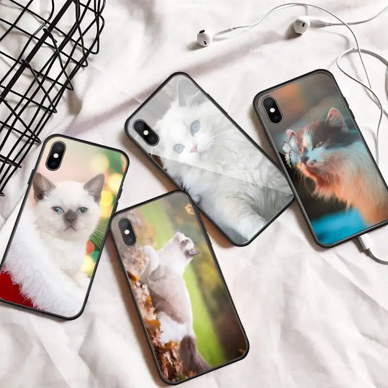 eye funny lovely ragdoll cat Phone Case Tempered glass For iphone 6 6S 7 8 plus X XS XR 11 12 mini PRO MAX COVER
eye funny lovely ragdoll cat Phone Case Tempered glass For iphone 6 6S 7 8 plus X XS XR 11 12 mini PRO MAX COVER