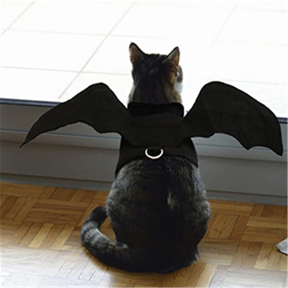 Новинка; одежда с крыльями летучей мыши для питомцев на Хэллоуин; одежда для щенков; вечерние костюмы для собак и кошек; костюм летучей мыши; ...
Новинка; одежда с крыльями летучей мыши для питомцев на Хэллоуин; одежда для щенков; вечерние костюмы для собак и кошек; костюм летучей мыши; ...