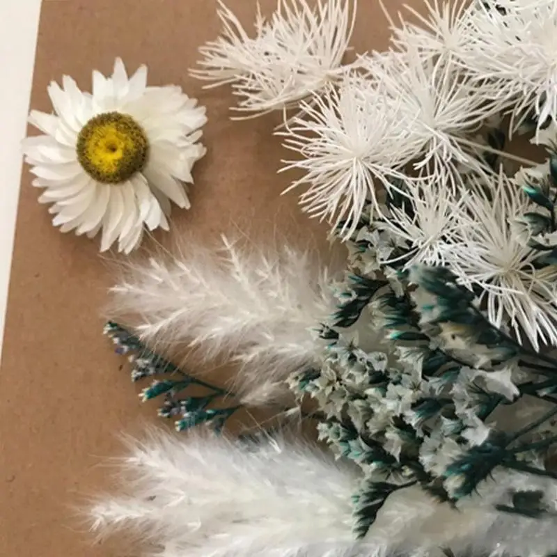 Dried flower Pressed Flowers Mini Dried Flowers DIY For Home Flowers Scrapbooking Party Decoration Wedding flowers Christma B6E0
Dried flower Pressed Flowers Mini Dried Flowers DIY For Home Flowers Scrapbooking Party Decoration Wedding flowers Christma B6E0