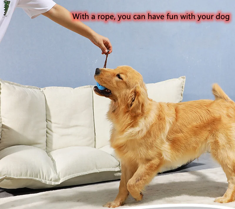Popluar Chewable Rubber Ball Molar Stick Dog Teeth Toys For Pets Puppys Cats Supplies Wholesale
Popluar Chewable Rubber Ball Molar Stick Dog Teeth Toys For Pets Puppys Cats Supplies Wholesale