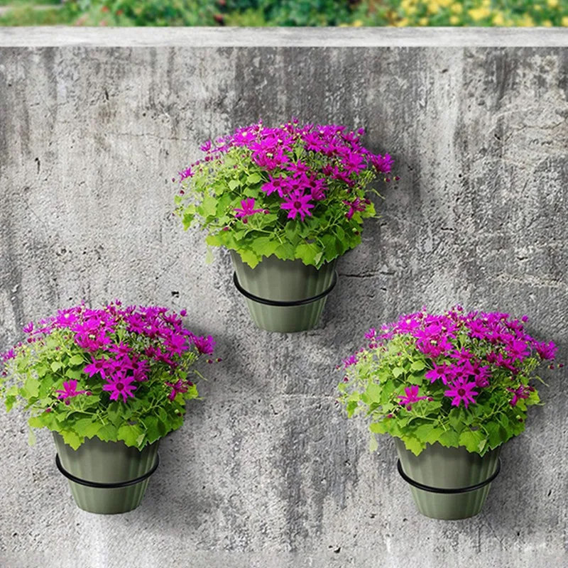 Flower Pot Holder Ring Wall Mounted Metal Planter Hooks Hangers Wall Bracket, 3 Pack, Black, 8 Inch
Flower Pot Holder Ring Wall Mounted Metal Planter Hooks Hangers Wall Bracket, 3 Pack, Black, 8 Inch