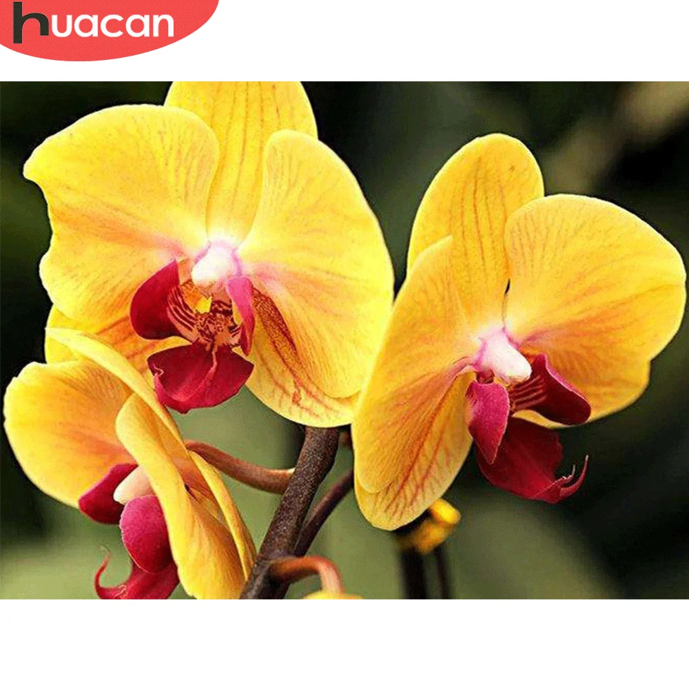 HUACAN 5D Diamond Painting Orchid Diamond Mosaic Flower Full Square/Round Drill Embroidery Decoration For Home
HUACAN 5D Diamond Painting Orchid Diamond Mosaic Flower Full Square/Round Drill Embroidery Decoration For Home