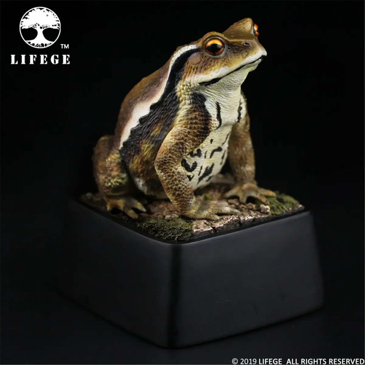 LIFEGE 1:1 Bufo статуя японской биологии жаба модель диких животных фигурка игрушка декор настольные украшения для детей взрослых детей Рождественский подарок
LIFEGE 1:1 Bufo статуя японской биологии жаба модель диких животных фигурка игрушка декор настольные украшения для детей взрослых детей Рождественский подарок