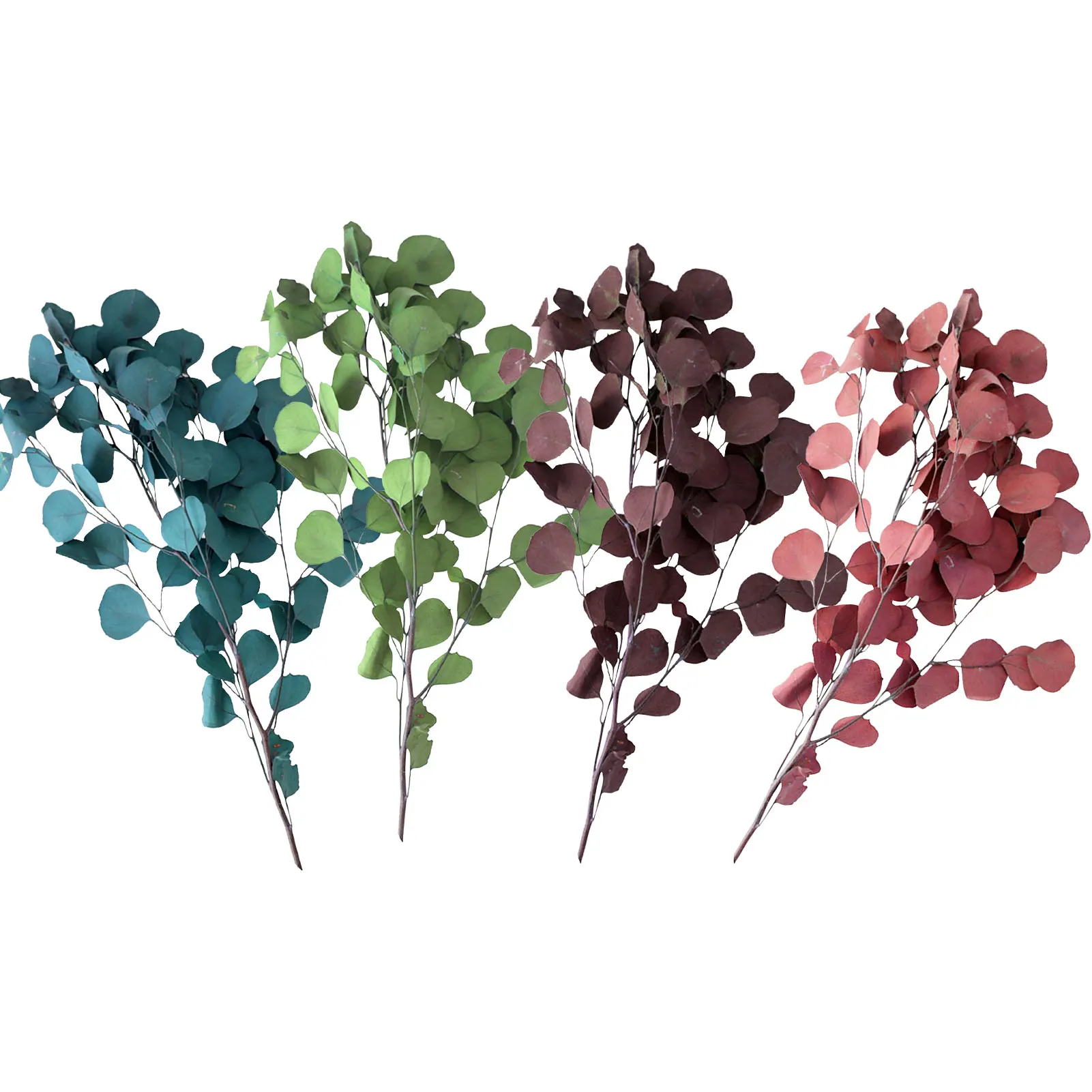 Natural Eucalyptus Leaves Bouquet Eternal Dried Flower Immortal Flower For Home Party Wedding Decoration Accessories
Natural Eucalyptus Leaves Bouquet Eternal Dried Flower Immortal Flower For Home Party Wedding Decoration Accessories