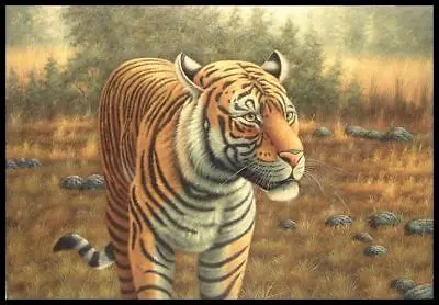 36 "x 24" картина маслом на холсте, тигр на драке