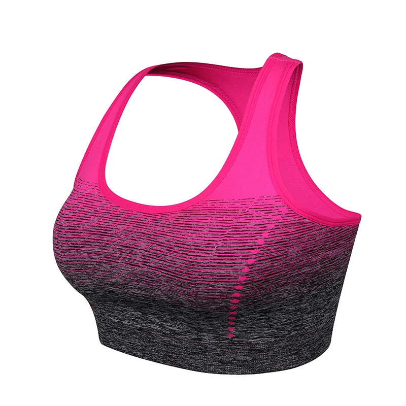 Hot sale High Stretch Sports Bra for Women Quick Dry Padded Sports Top Seamless Yoga Running Fitness Sport Bra Top Gradient
Hot sale High Stretch Sports Bra for Women Quick Dry Padded Sports Top Seamless Yoga Running Fitness Sport Bra Top Gradient