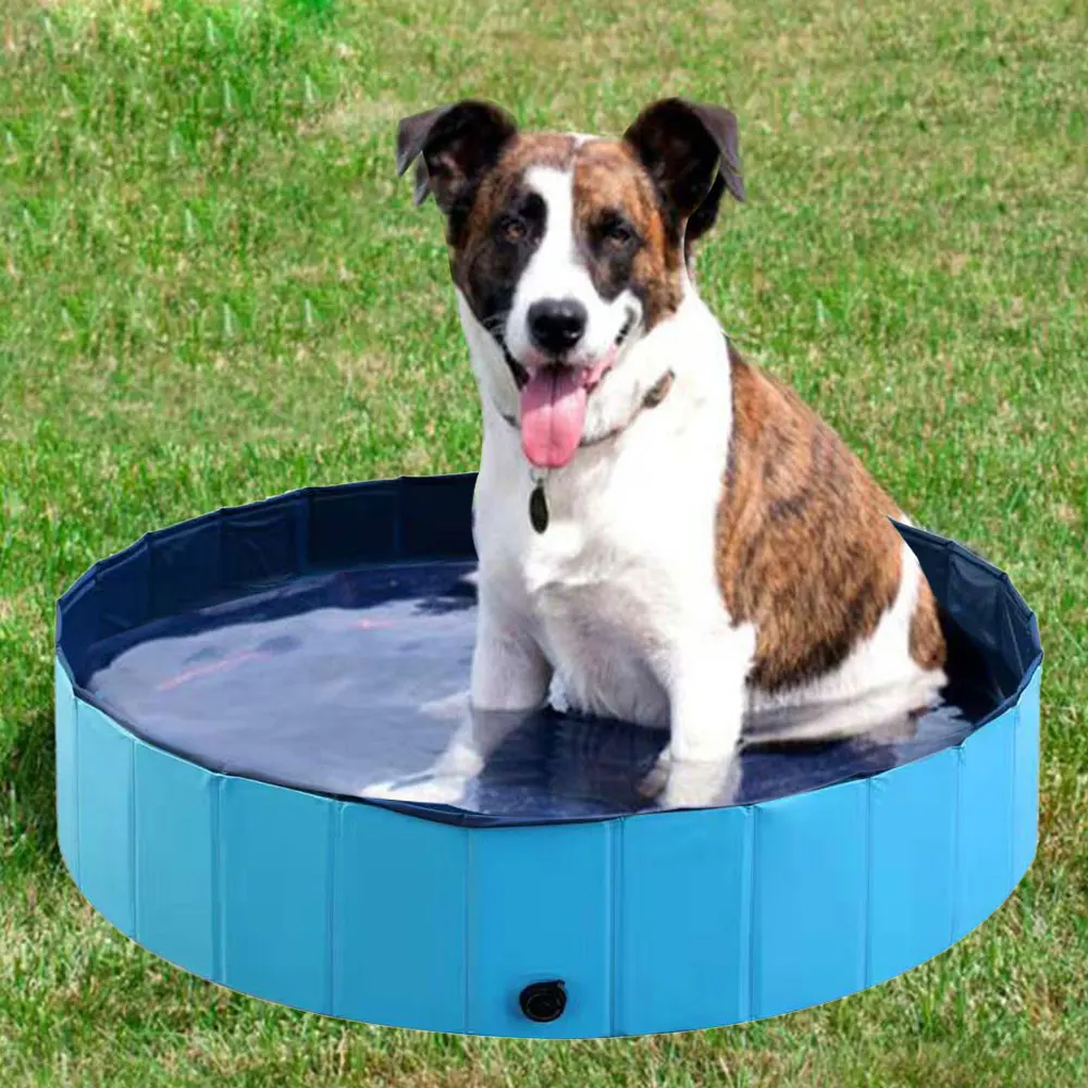 160*30cm Pet Swiming Pool Foldable Thicken Dog Pool Swimming Tub Bathtub Play Pool Outdoor Indoor Bathing Pool for Dogs Baby Kid
160*30cm Pet Swiming Pool Foldable Thicken Dog Pool Swimming Tub Bathtub Play Pool Outdoor Indoor Bathing Pool for Dogs Baby Kid