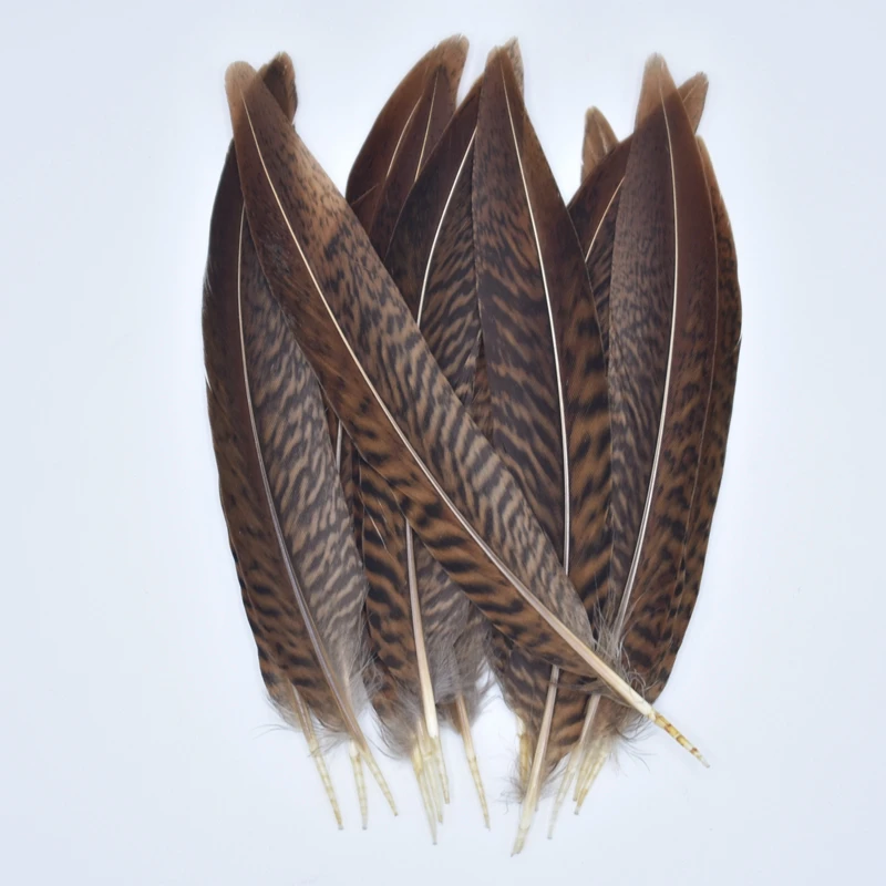 20Pcs/Lot Natural Pheasant Feathers for Crafts 15-20cm 6-8" Feathers for Jewelry Making Accessories Plumas Carnaval Decorations
20Pcs/Lot Natural Pheasant Feathers for Crafts 15-20cm 6-8" Feathers for Jewelry Making Accessories Plumas Carnaval Decorations