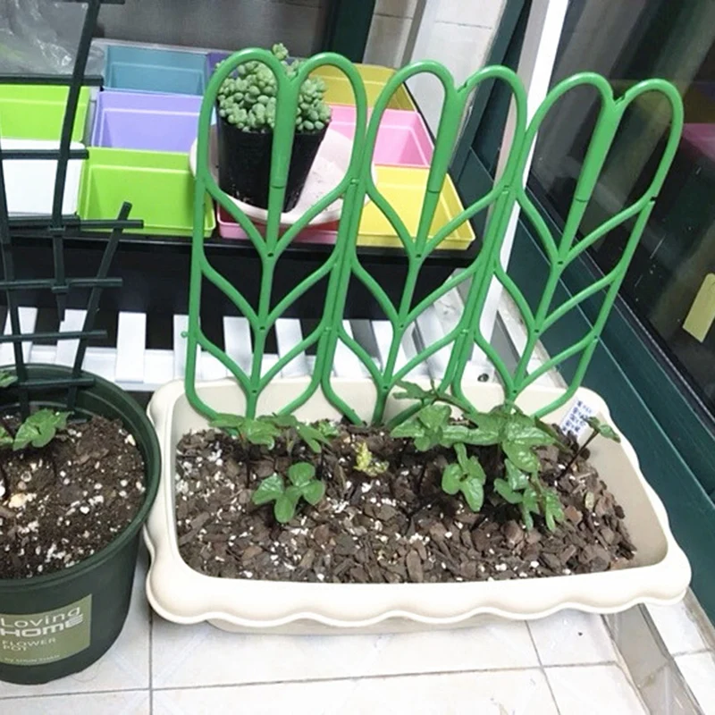 12 Garden Trellis Climbing Plant Support Stake for Mini Indoor Plants Pots .Flower Pot Gardening Plastic Insert
12 Garden Trellis Climbing Plant Support Stake for Mini Indoor Plants Pots .Flower Pot Gardening Plastic Insert
