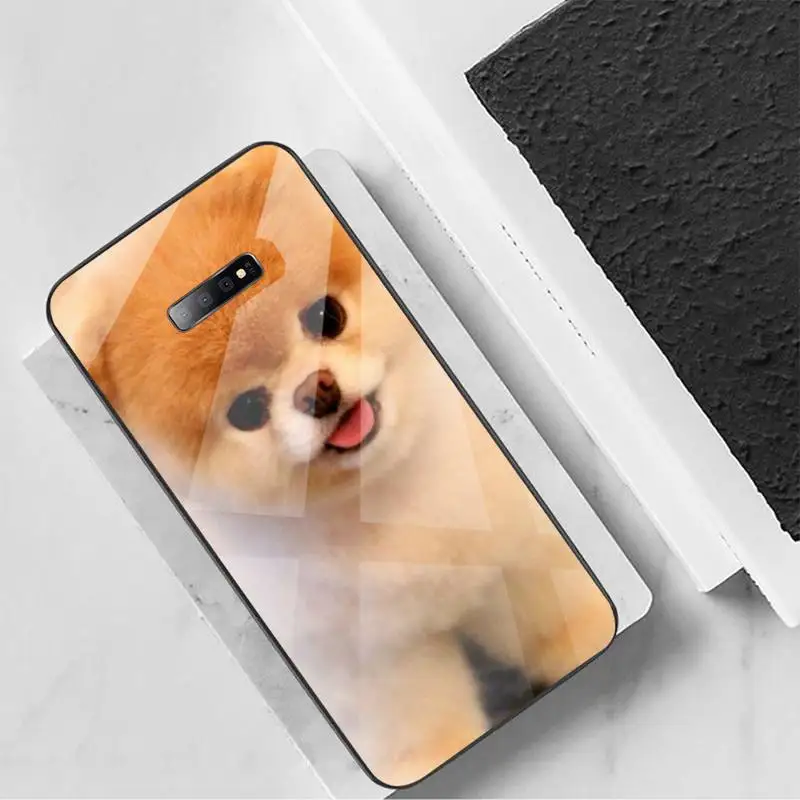 Pomeranian dog cute animal Phone Case Tempered glass For Samsung S6 S7 edge S8 S9 S10 e plus note8 9 10 pro
Pomeranian dog cute animal Phone Case Tempered glass For Samsung S6 S7 edge S8 S9 S10 e plus note8 9 10 pro
