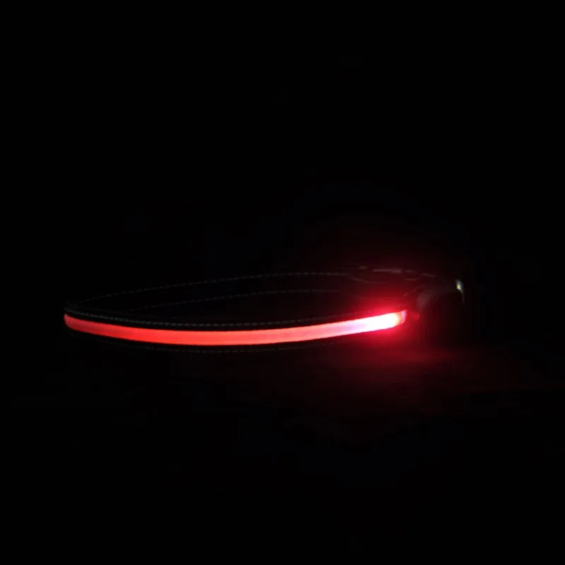 LED Dog Collar Anti-Lost Pet Puppy Car Accident Avoid Collar For Dogs Puppies Dog Cats Collars Luminous Pet Supplies 
LED Dog Collar Anti-Lost Pet Puppy Car Accident Avoid Collar For Dogs Puppies Dog Cats Collars Luminous Pet Supplies