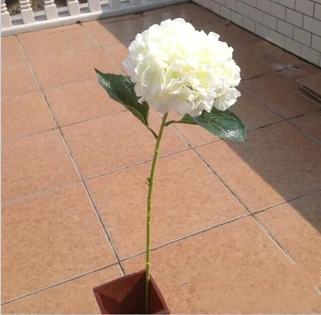 Artificial Hydrangea Flower 80cm/31.5" Fake Silk Single Hydrangeas 6 Colors for Wedding Centerpieces Home Party Decorative Flowe
Artificial Hydrangea Flower 80cm/31.5" Fake Silk Single Hydrangeas 6 Colors for Wedding Centerpieces Home Party Decorative Flowe