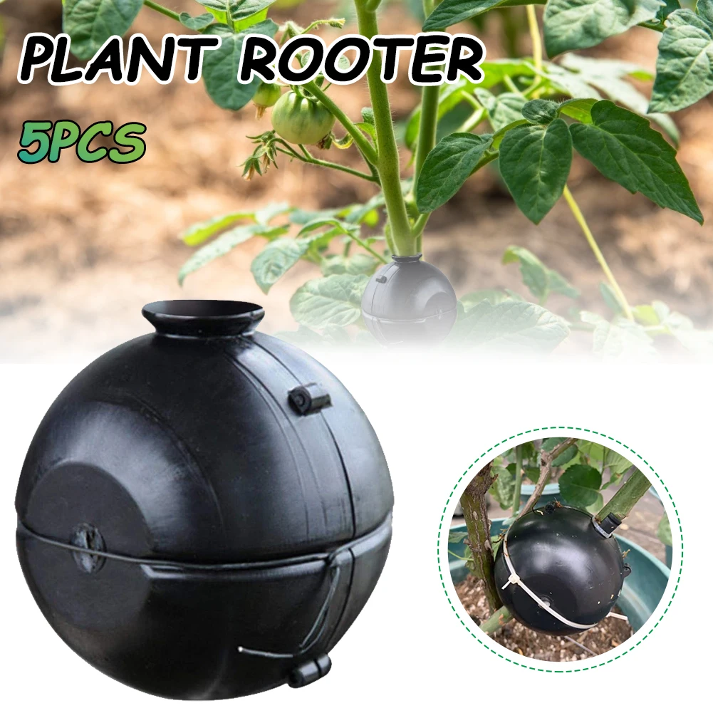 5pcs Plant Rooting Ball,with Safety Lock Garden Accessories Spherical Design ,Reusable Gardening Tools for Various Garden Plants
5pcs Plant Rooting Ball,with Safety Lock Garden Accessories Spherical Design ,Reusable Gardening Tools for Various Garden Plants