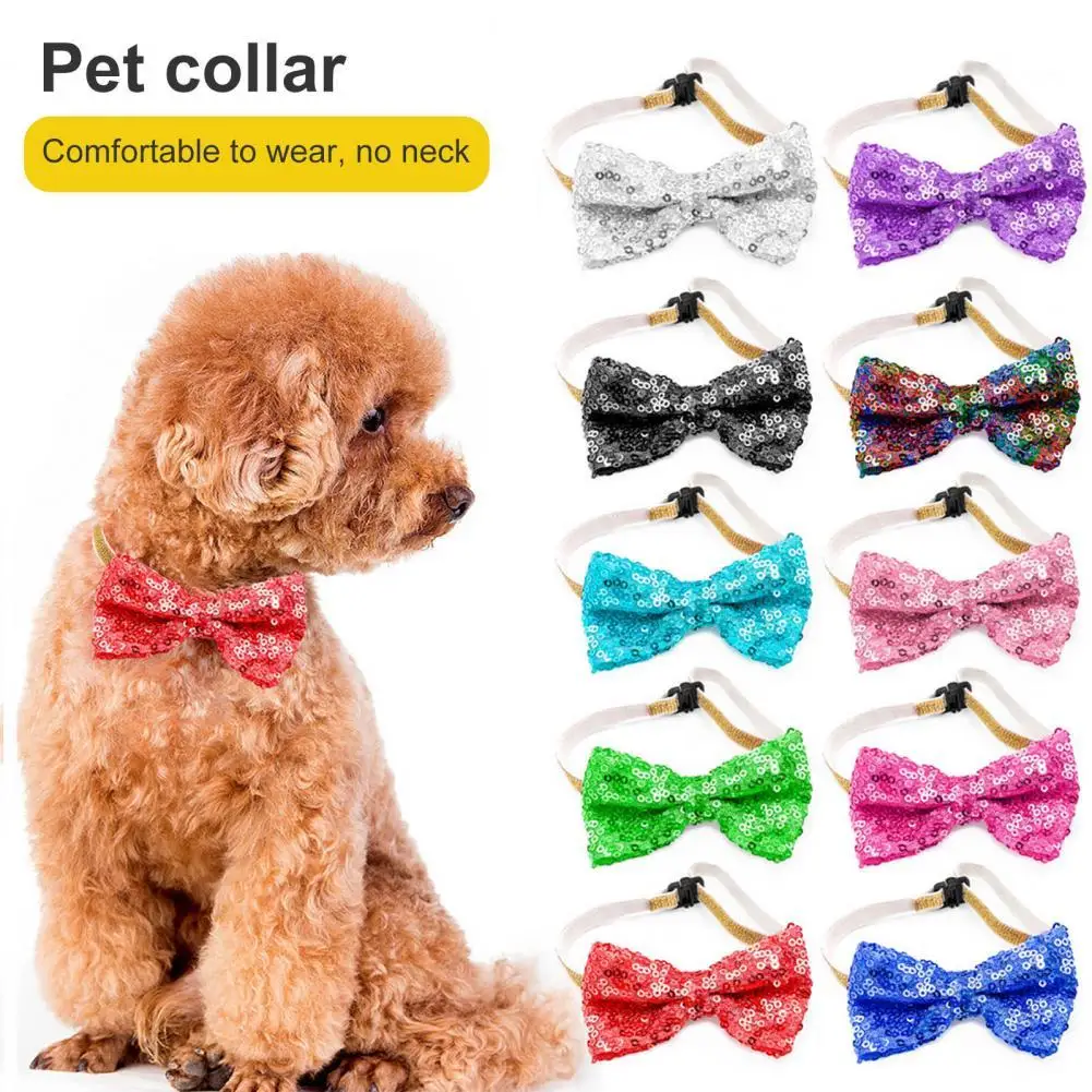 Holiday Dress-up Universal Puppy Kitten Collar Bows with Bell Pet Supplies
Holiday Dress-up Universal Puppy Kitten Collar Bows with Bell Pet Supplies