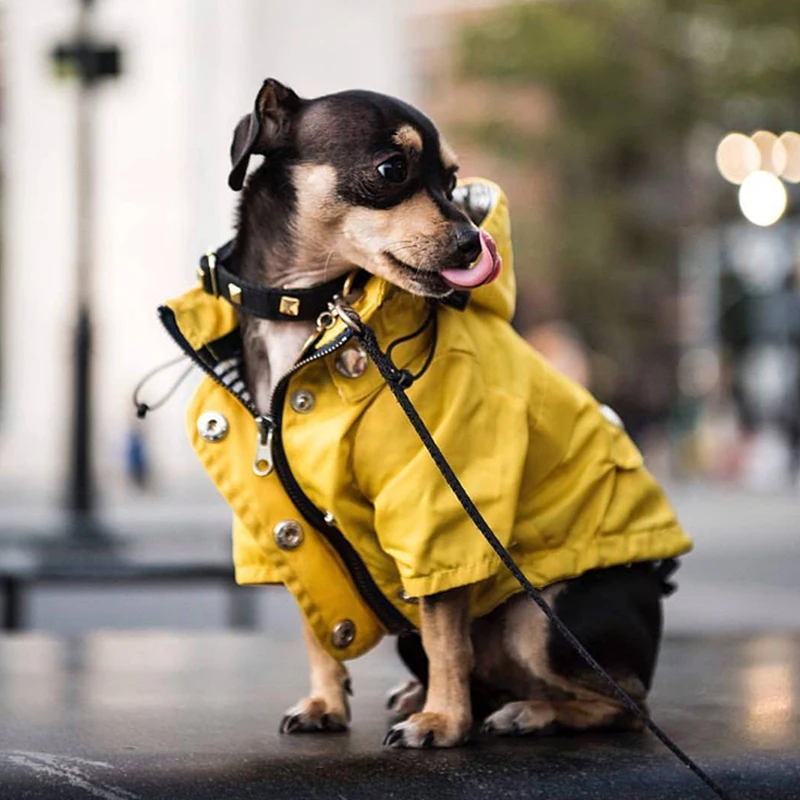 Pet Dog Clothes for Small Medium Dogs Waterproof Puppy Raincoat Fashion Cool Dog Jacket Coat Windproof Dogs Outfit Pet Supplie
Pet Dog Clothes for Small Medium Dogs Waterproof Puppy Raincoat Fashion Cool Dog Jacket Coat Windproof Dogs Outfit Pet Supplie