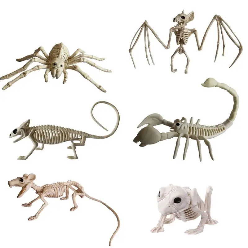 Q0KF Halloween Decoration Animal Skeleton Creepy Spider Bat Mouse Lizard Bones Ornaments
Q0KF Halloween Decoration Animal Skeleton Creepy Spider Bat Mouse Lizard Bones Ornaments