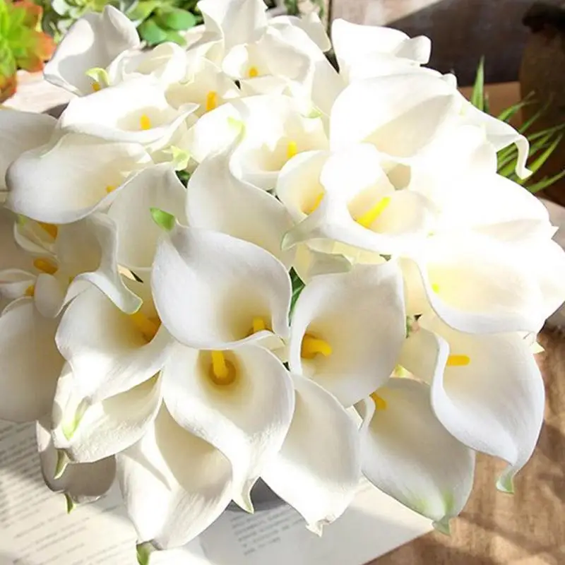 1pc White Yellow Heart Pu Mini Calla Lily Wholesale Christmas Living Bedroom Flower Fake Flower Decorative Gift Artificial W5U8
1pc White Yellow Heart Pu Mini Calla Lily Wholesale Christmas Living Bedroom Flower Fake Flower Decorative Gift Artificial W5U8