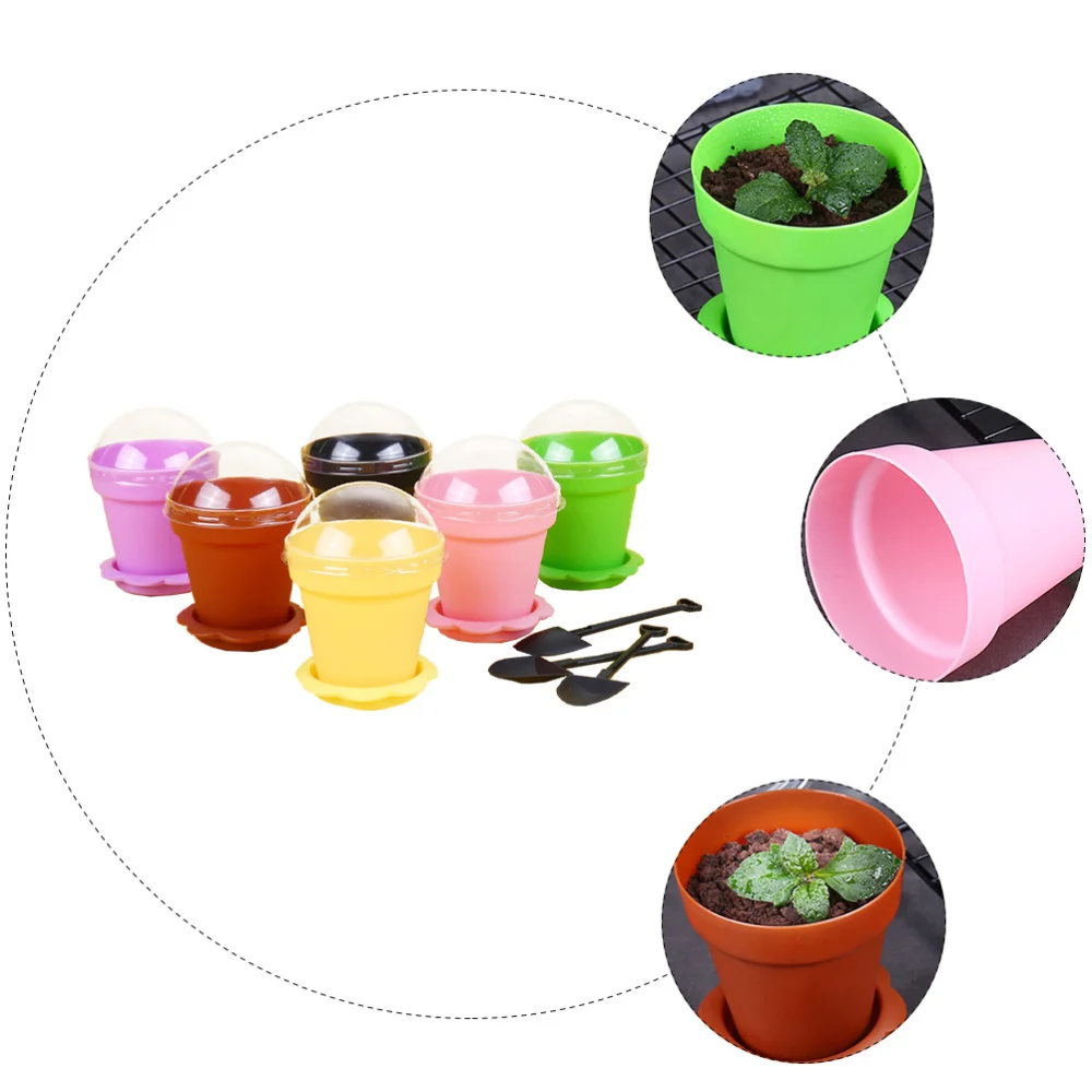 50 Sets Cupcake Plant Nursery Pots Indoor Outdoor Plant Succulent Display Cup
50 Sets Cupcake Plant Nursery Pots Indoor Outdoor Plant Succulent Display Cup