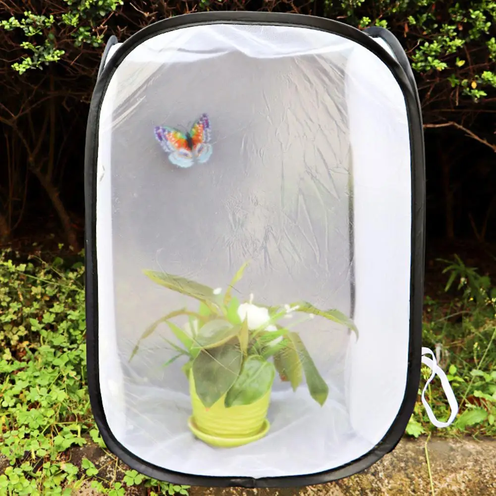 HOT SALES!!!New Arrival Breeding Display Box Mesh Collapsible Zipper Stick Insect Butterfly Habitat Cage Wholesale Dropshipping
HOT SALES!!!New Arrival Breeding Display Box Mesh Collapsible Zipper Stick Insect Butterfly Habitat Cage Wholesale Dropshipping