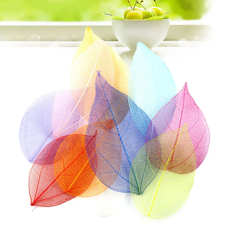 20Pcs Multicolor Natural Skeleton Leaves Pressed Flower Scrapbooking Decor DIY Handmade Materials Wedding Party Decor Supplies
20Pcs Multicolor Natural Skeleton Leaves Pressed Flower Scrapbooking Decor DIY Handmade Materials Wedding Party Decor Supplies