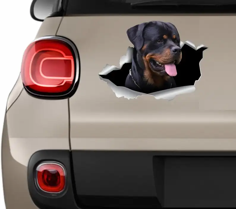Rottweiler car sticker Rottweiler stickers Dog stickers Rottweiler car decal Rottweiler auto decor Rottweiler car art Dogs
Rottweiler car sticker Rottweiler stickers Dog stickers Rottweiler car decal Rottweiler auto decor Rottweiler car art Dogs