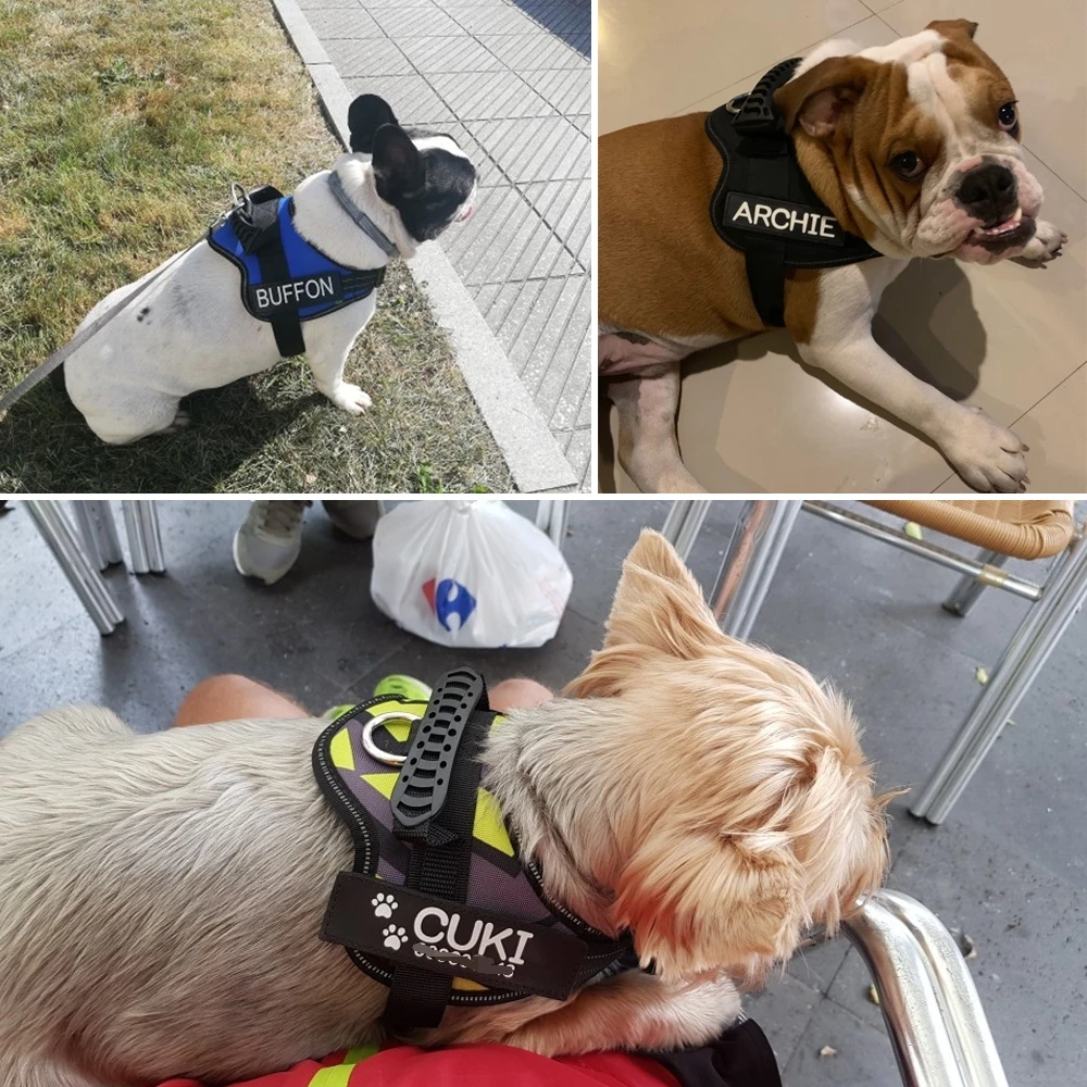 Personalized Pet Dog Harness Reflective Handle Adjustable Anti-collision Pest Vest Harness Dog Harnesses for large Dogs Collar
Personalized Pet Dog Harness Reflective Handle Adjustable Anti-collision Pest Vest Harness Dog Harnesses for large Dogs Collar