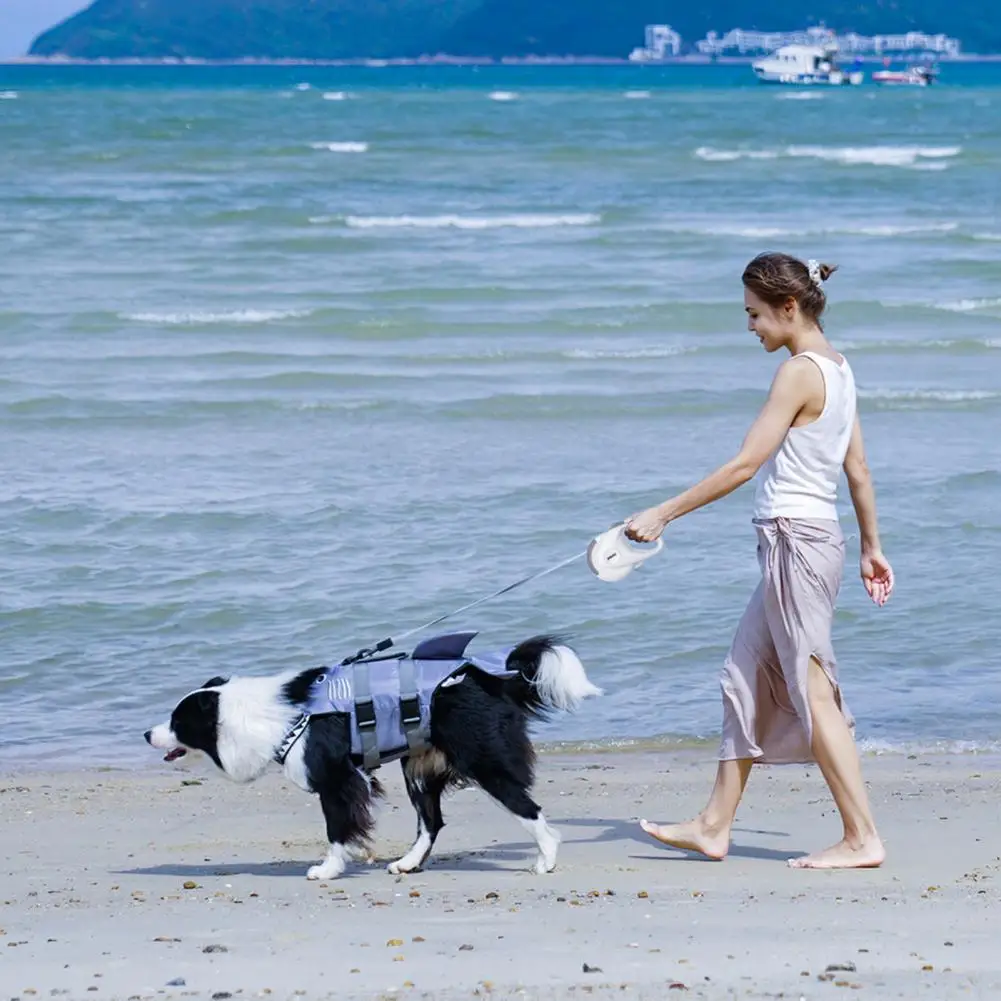 Portable Pretty Adjustable Dog Harness Rope Eco-friendly Pet Traction Rope Not Stuck for Traveling Pet Acessories And Pet Supply
Portable Pretty Adjustable Dog Harness Rope Eco-friendly Pet Traction Rope Not Stuck for Traveling Pet Acessories And Pet Supply