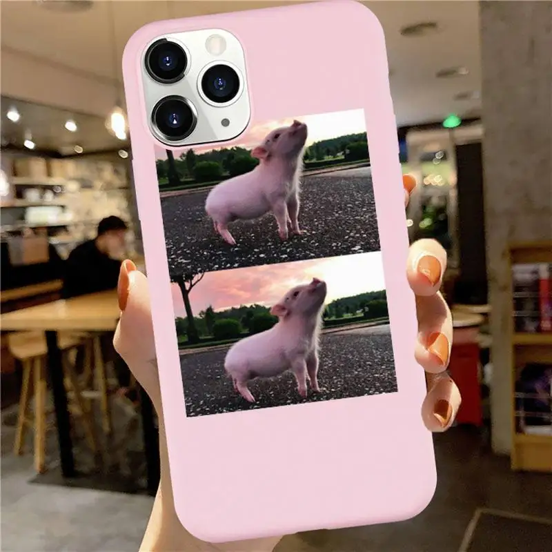Pink Pet Cute Little Pig Lovely animal Phone Case Candy Color for iPhone 6 7 8 11 12 s mini pro X XS XR MAX Plus
Pink Pet Cute Little Pig Lovely animal Phone Case Candy Color for iPhone 6 7 8 11 12 s mini pro X XS XR MAX Plus