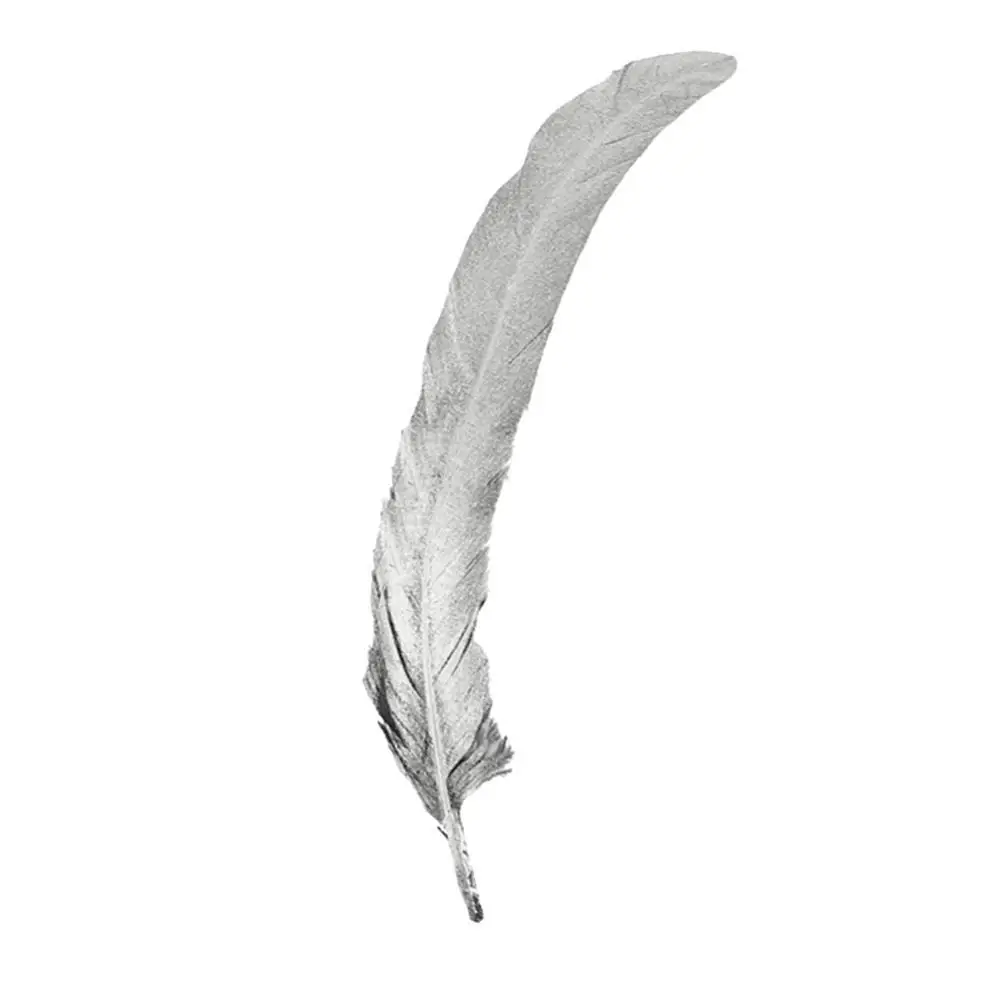 10 Pcs/lot Printing Gold&silver Color Rooster Tail Feather 25-30Cm Feathers for Wedding Party Decorative Plume Crafts
10 Pcs/lot Printing Gold&silver Color Rooster Tail Feather 25-30Cm Feathers for Wedding Party Decorative Plume Crafts