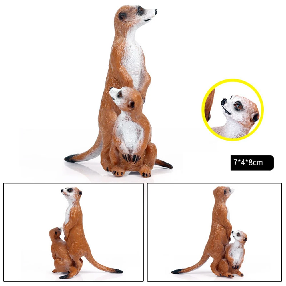 Моделирование стоя Meerkat диких животных фигурку рабочего стола орнамент детская