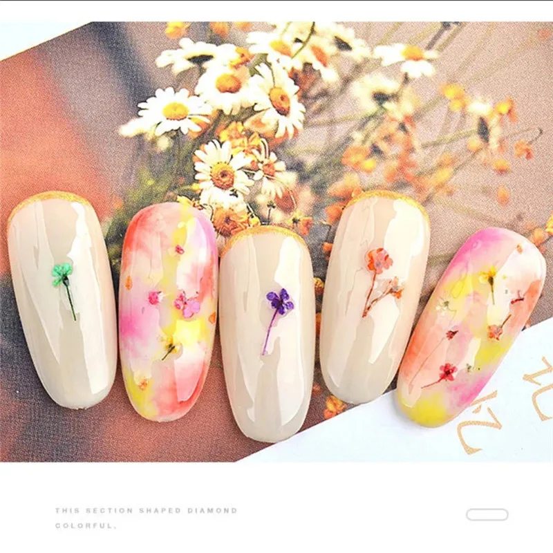 Dried Flowers 3D Dry Flowers for Nails Dried Flowers Pressed Real Natural Flower Nail Art Resin Mold Design Decoration Supplies
Dried Flowers 3D Dry Flowers for Nails Dried Flowers Pressed Real Natural Flower Nail Art Resin Mold Design Decoration Supplies