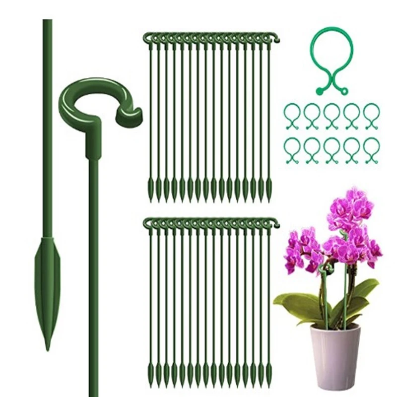30Pcs 15 Inch Plant Stakes Garden Flower Support Fixed Clip Garden Vine Climbing Sticky Hook For Phalaenopsis Flower Potted
30Pcs 15 Inch Plant Stakes Garden Flower Support Fixed Clip Garden Vine Climbing Sticky Hook For Phalaenopsis Flower Potted