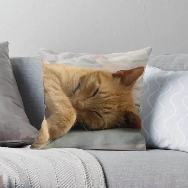 Ginger Cat Sleeping Printing Throw Pillow Cover Square Soft Fashion Anime Throw Cushion Bed Office Waist Pillows not include
Ginger Cat Sleeping Printing Throw Pillow Cover Square Soft Fashion Anime Throw Cushion Bed Office Waist Pillows not include