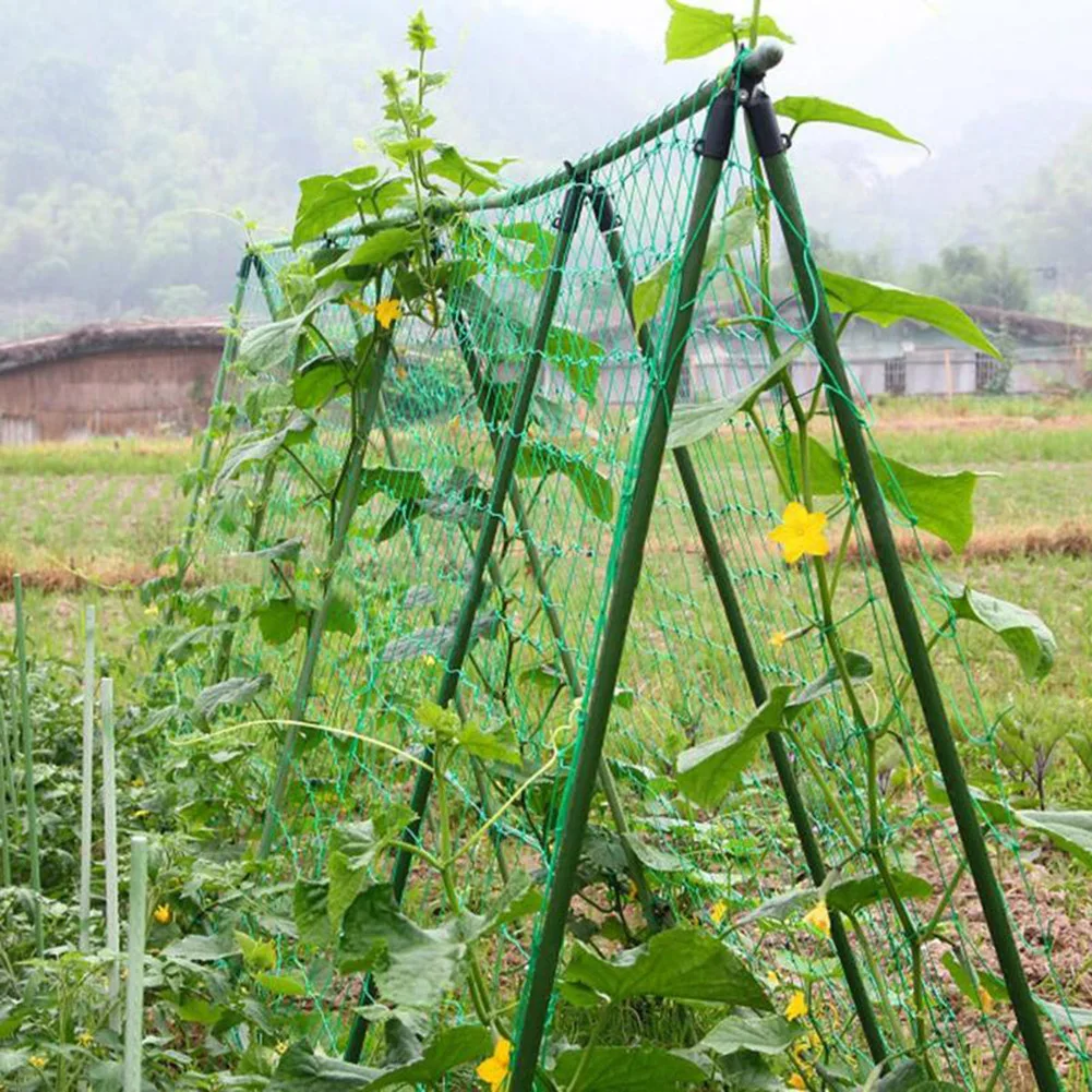 Nylon Plants Climbing Net Trellis Netting Plant Support for Fruits Vegetables Cucumber Trellis Netting Plant Nets Climbing
Nylon Plants Climbing Net Trellis Netting Plant Support for Fruits Vegetables Cucumber Trellis Netting Plant Nets Climbing