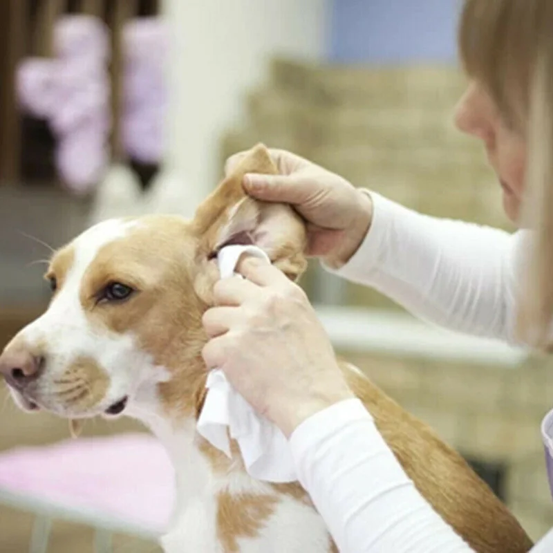 Pet ушной порошок здравоохранения легко удалить очистки шерсти для собак и кошек YU