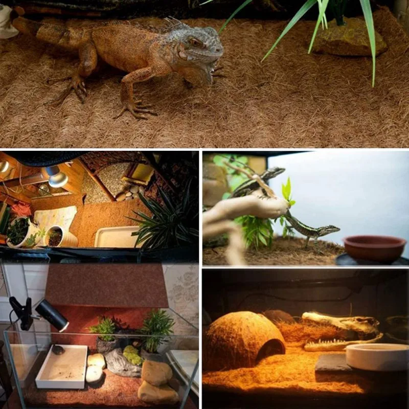 Natural Coconut Fiber Tortoise Carpet Mat for Pet Liner Reptile Supplies for Lizard Snake Chamelon Turtle Bedding 100*50CM 
Natural Coconut Fiber Tortoise Carpet Mat for Pet Liner Reptile Supplies for Lizard Snake Chamelon Turtle Bedding 100*50CM