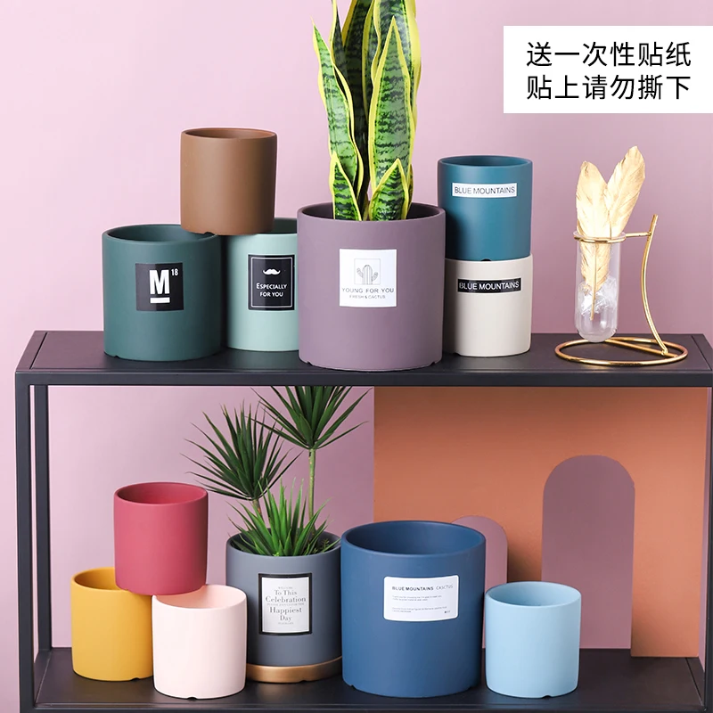 Nordic Simple Cylindrical Flowerpot Vase Indoor Green Plant Green Sill Cactus Potted DIY Flowerpot Ins Small Ceramic Flowerpot
Nordic Simple Cylindrical Flowerpot Vase Indoor Green Plant Green Sill Cactus Potted DIY Flowerpot Ins Small Ceramic Flowerpot