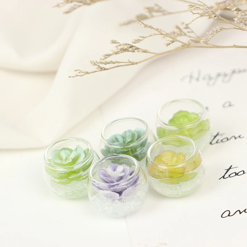 1:12 Dollhouse Miniature Succulent Plant Green Hydroponic Potted Dollhouse Glass Jar Model Home Garden Decor
1:12 Dollhouse Miniature Succulent Plant Green Hydroponic Potted Dollhouse Glass Jar Model Home Garden Decor