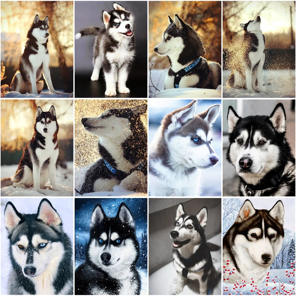 Dog Personalized Gift Pets Diy Animal Diamond Painting Cross Stitch Home Decor Puzzles Mosaic Needle Arts Craft Crafts Sewing
Dog Personalized Gift Pets Diy Animal Diamond Painting Cross Stitch Home Decor Puzzles Mosaic Needle Arts Craft Crafts Sewing