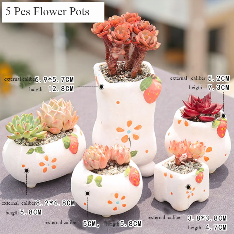 Cute Strawberry Flower Pot Succulent Cactus Pot Plant Garden Ceramic Planter Mini Pots Outdoor Garden Home
Cute Strawberry Flower Pot Succulent Cactus Pot Plant Garden Ceramic Planter Mini Pots Outdoor Garden Home